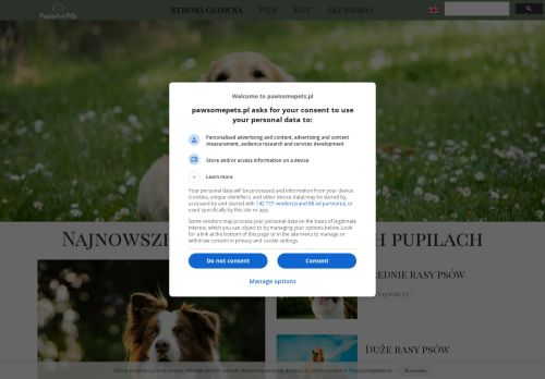 Wszystko o psach i kotach Wszystko o psach i kotach