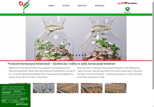 Proflora las w szkle Proflora las w szkle