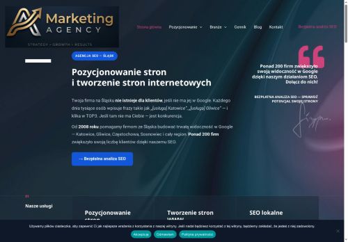 Widzialność profesjonalne SEO Polska